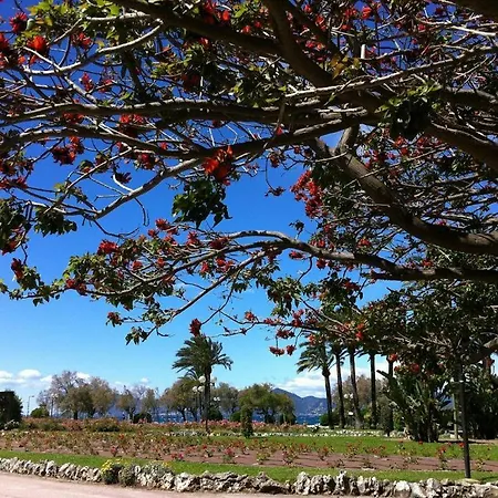 Charming & Elegant La Croisette In *